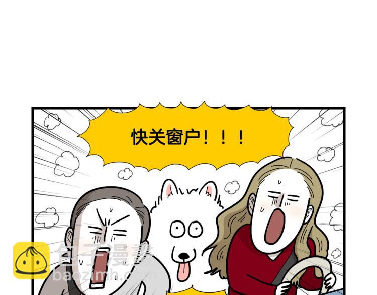 第1话 掉毛大王(1/2)-第2话