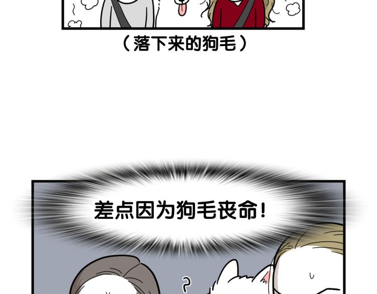 第1话 掉毛大王(1/2)-第2话