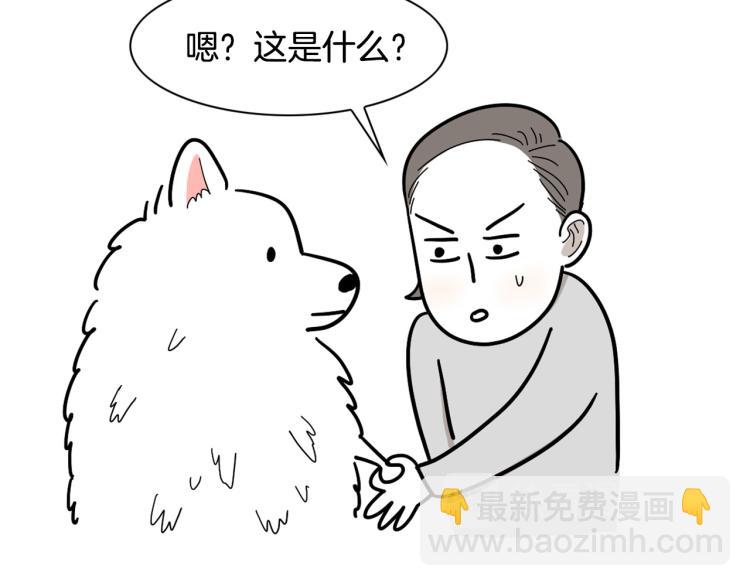 第1话 掉毛大王(1/2)-第2话