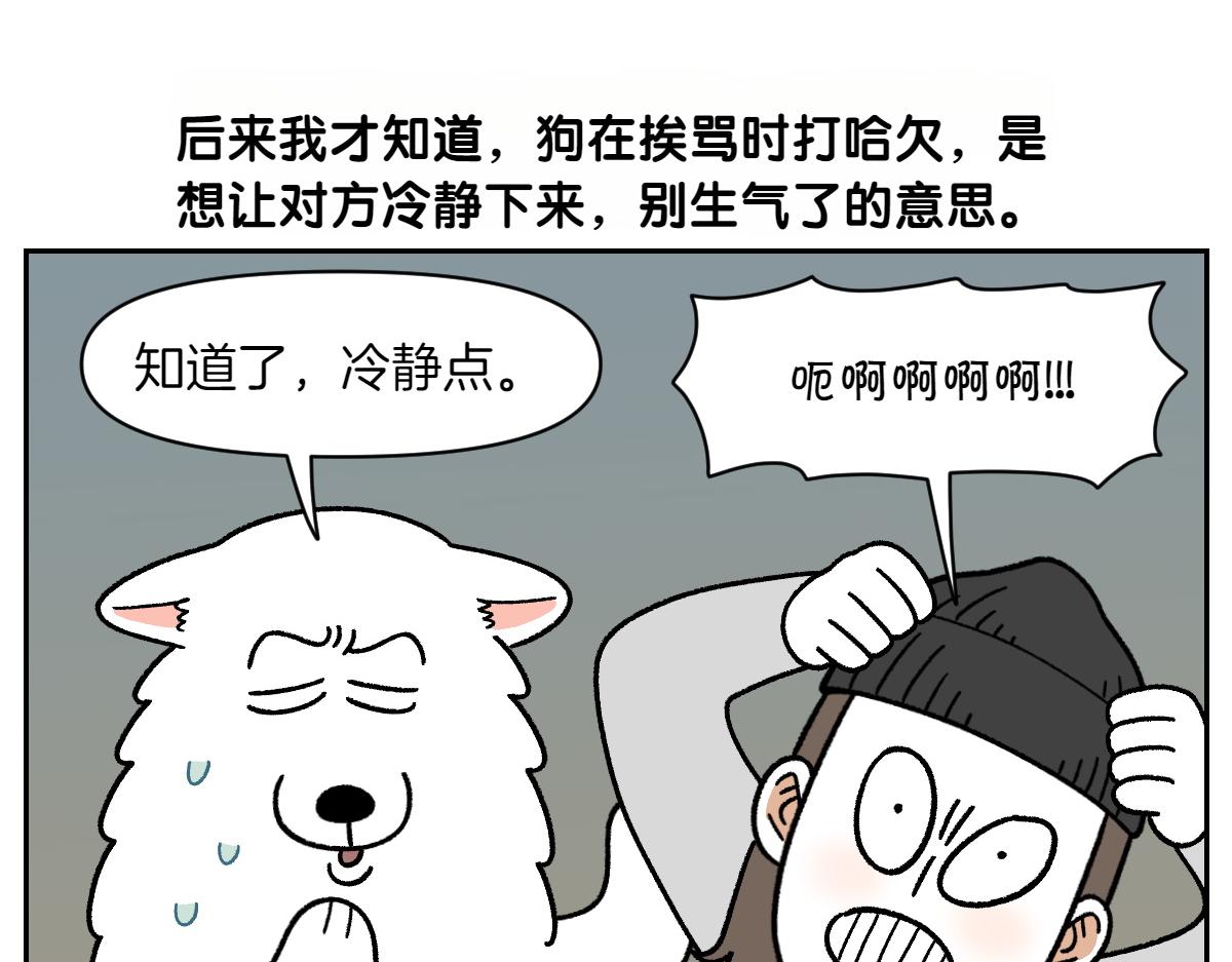 第36话 狗和猫的身体语言-第104话
