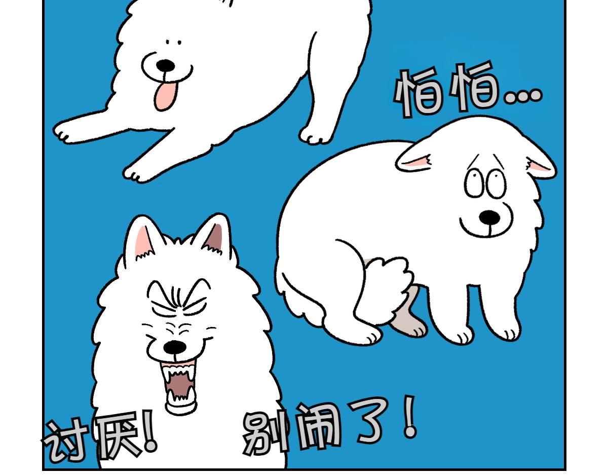第36话 狗和猫的身体语言-第104话