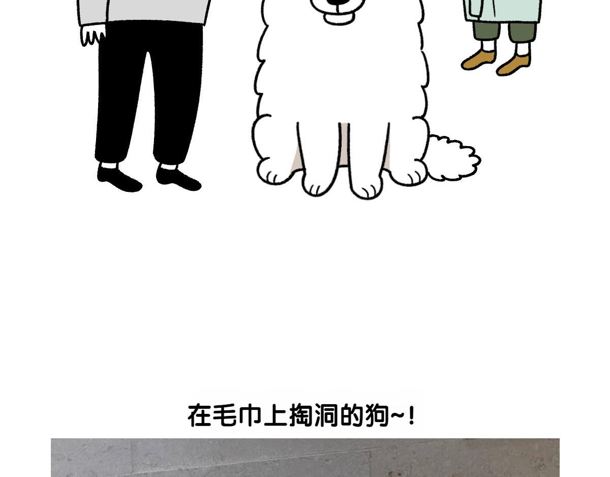 第36话 狗和猫的身体语言-第104话