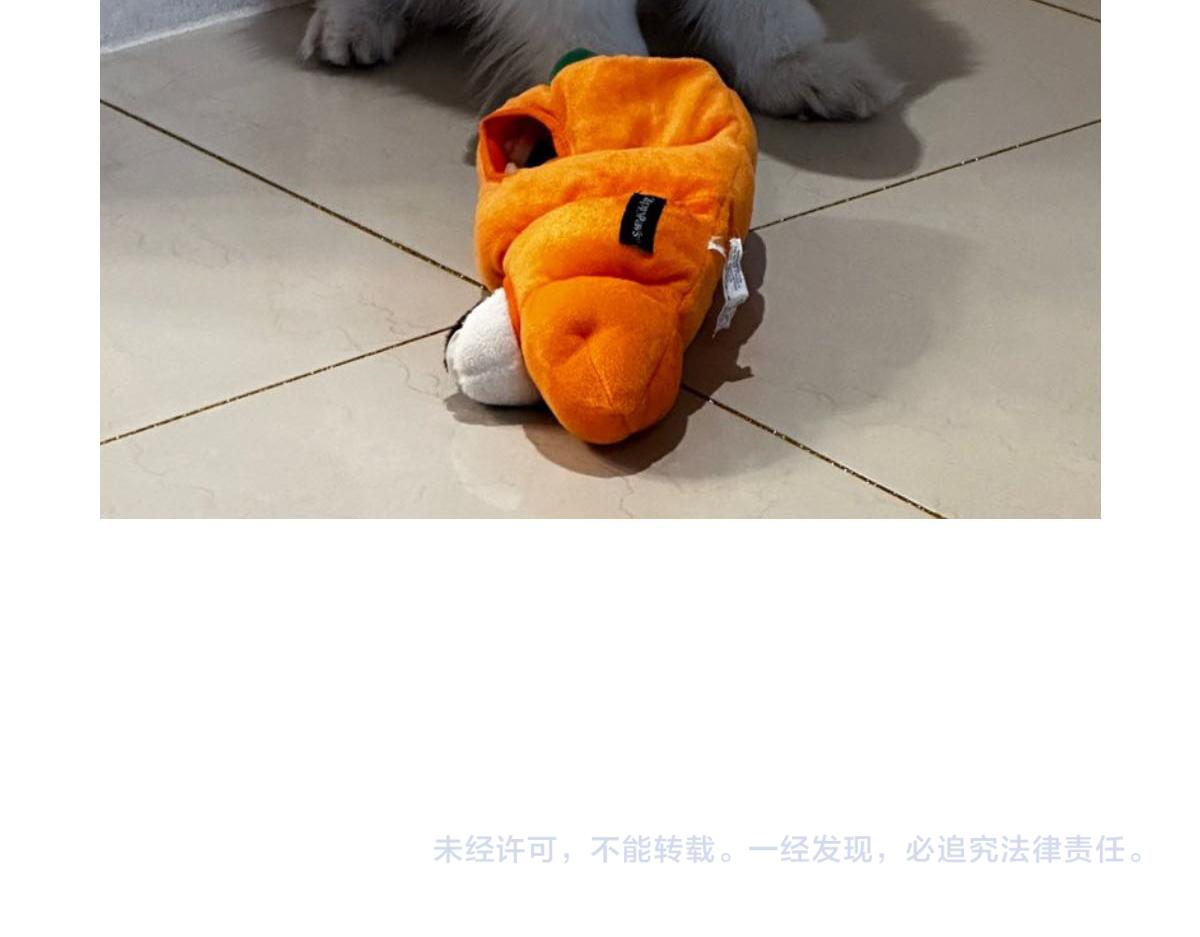 第36话 狗和猫的身体语言-第104话