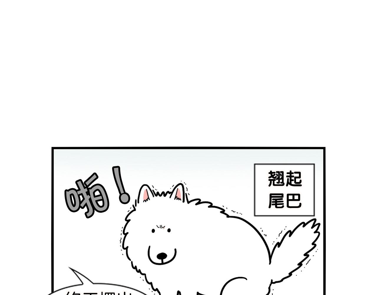 第11话 捡狗粑粑那些事～(1/2)-第12话