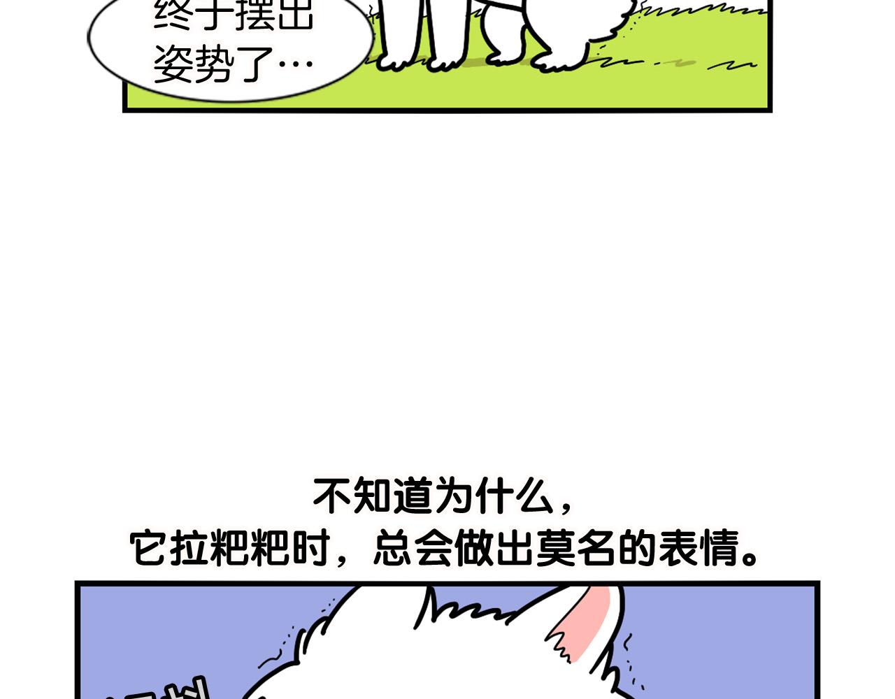 第11话 捡狗粑粑那些事～(1/2)-第12话