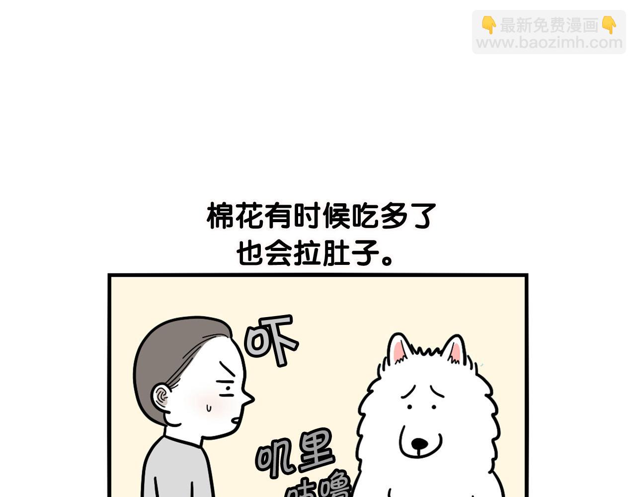 第11话 捡狗粑粑那些事～(1/2)-第12话