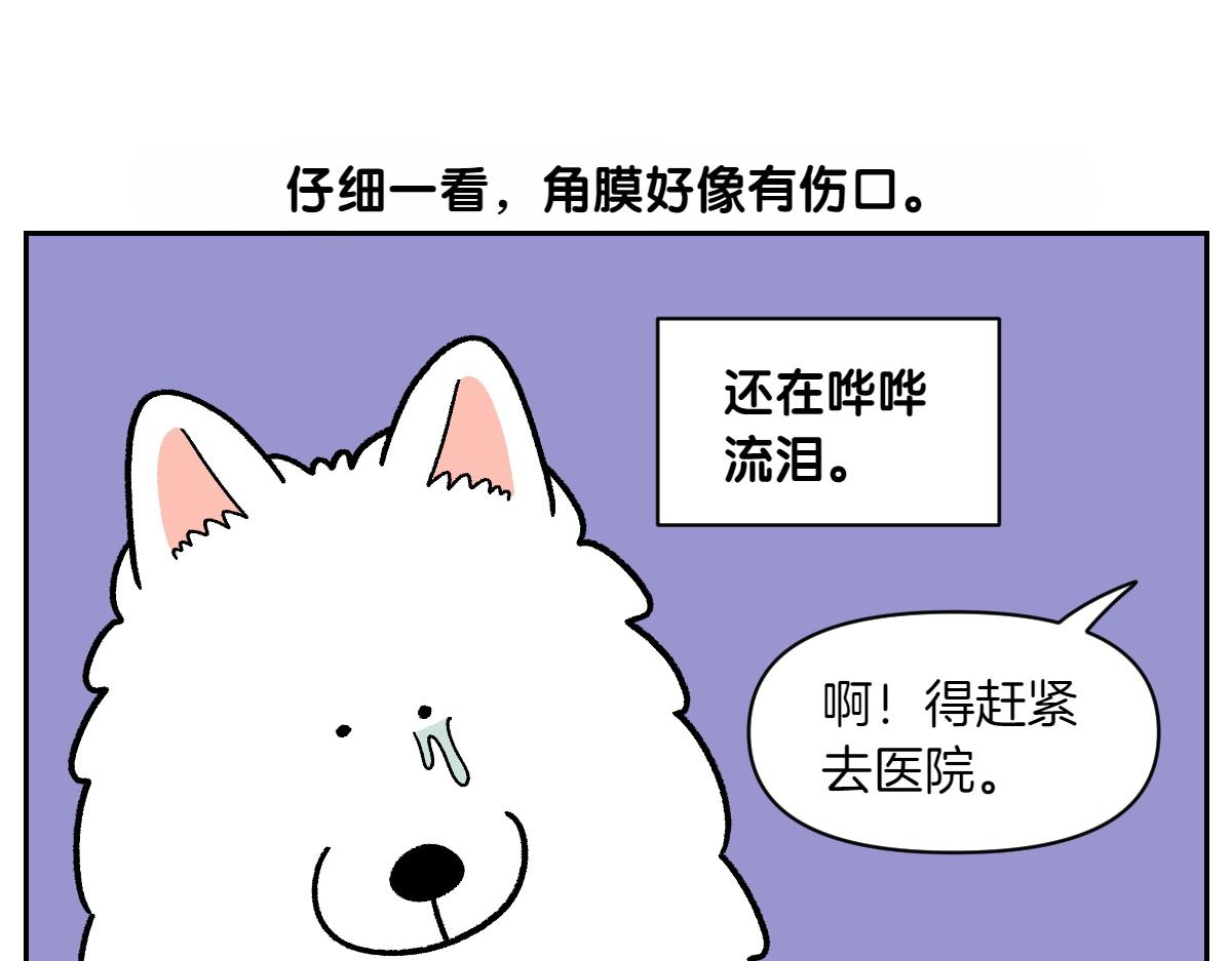 第42话 治疗眼病(1)(1/2)-第110话