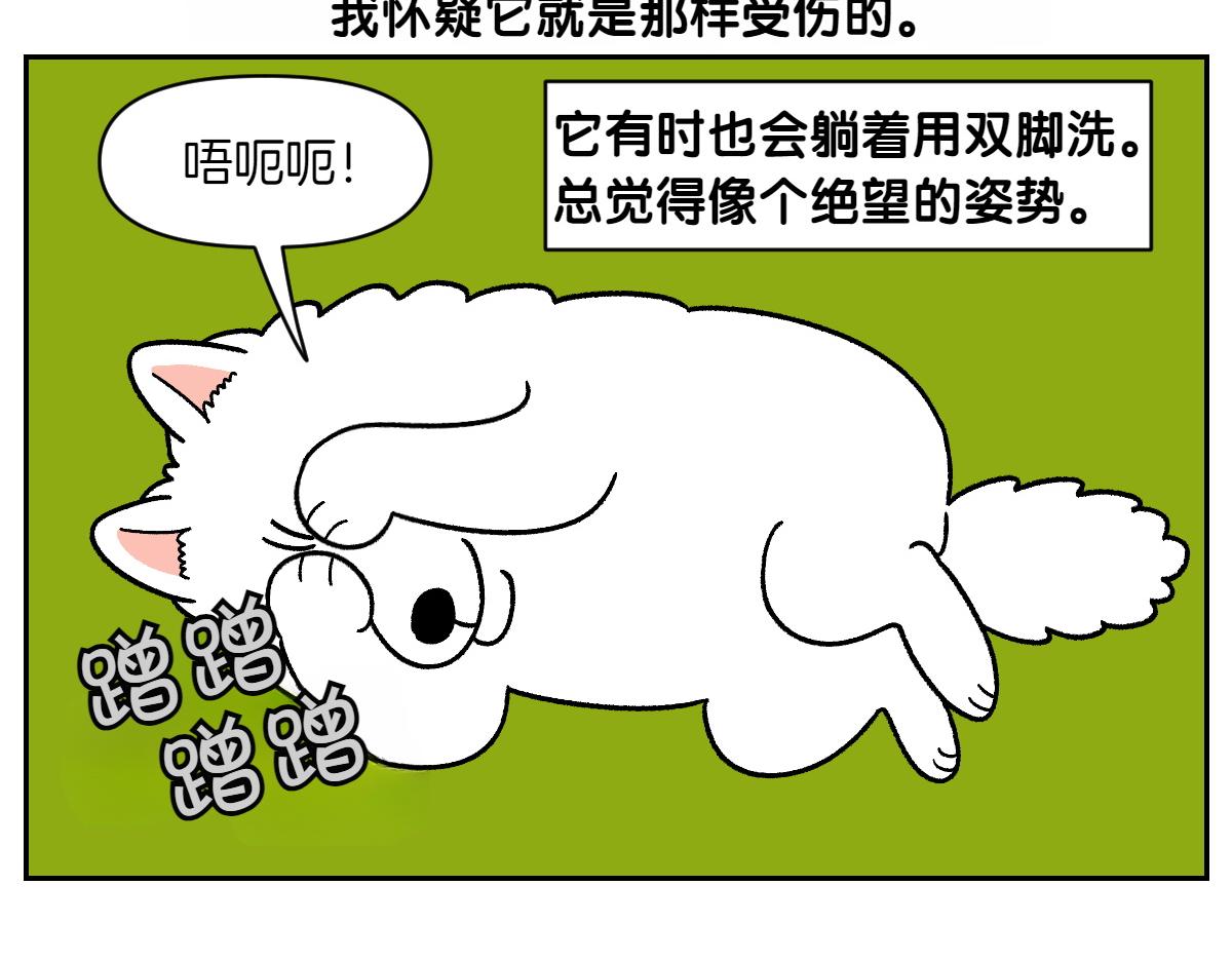 第44话 治疗眼病(3)(1/2)-第112话