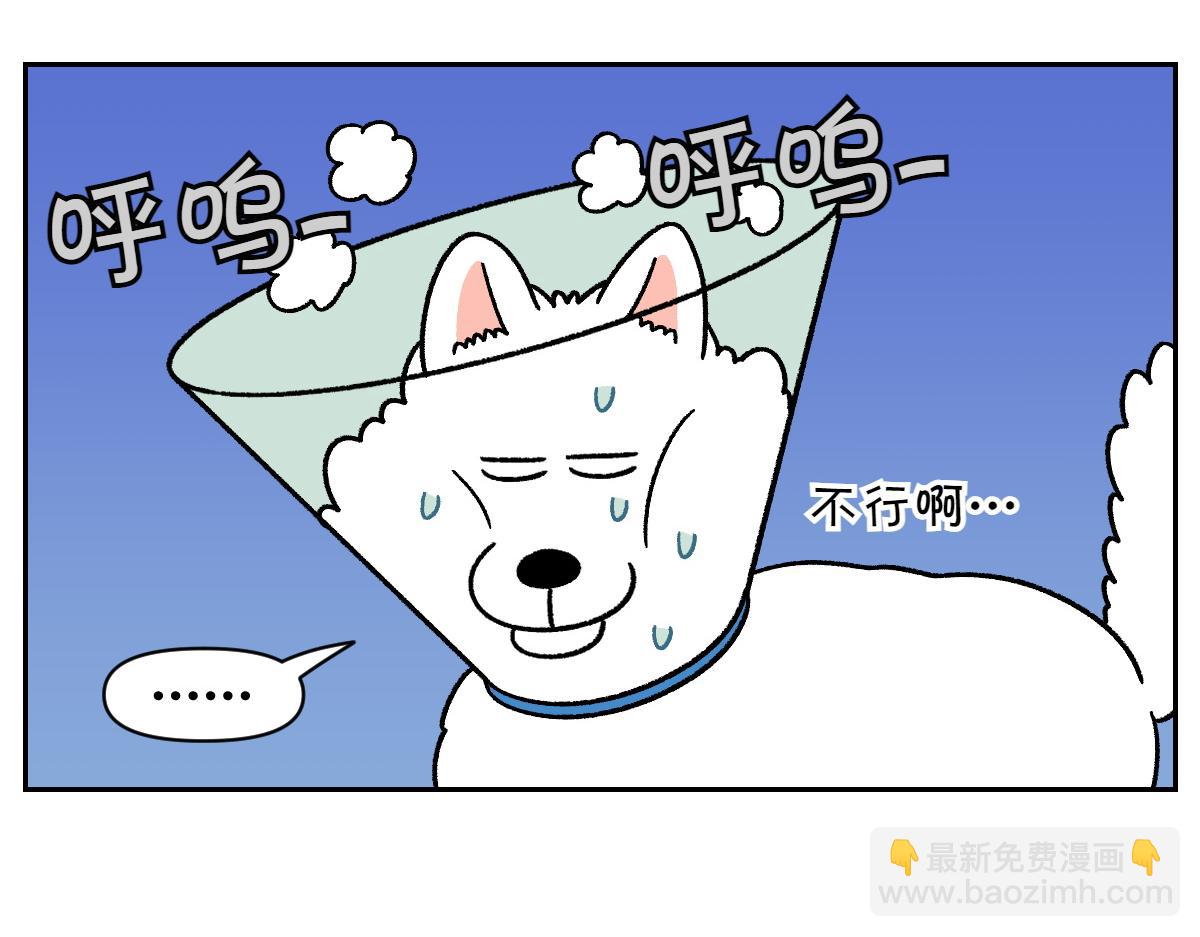 第44话 治疗眼病(3)(1/2)-第112话