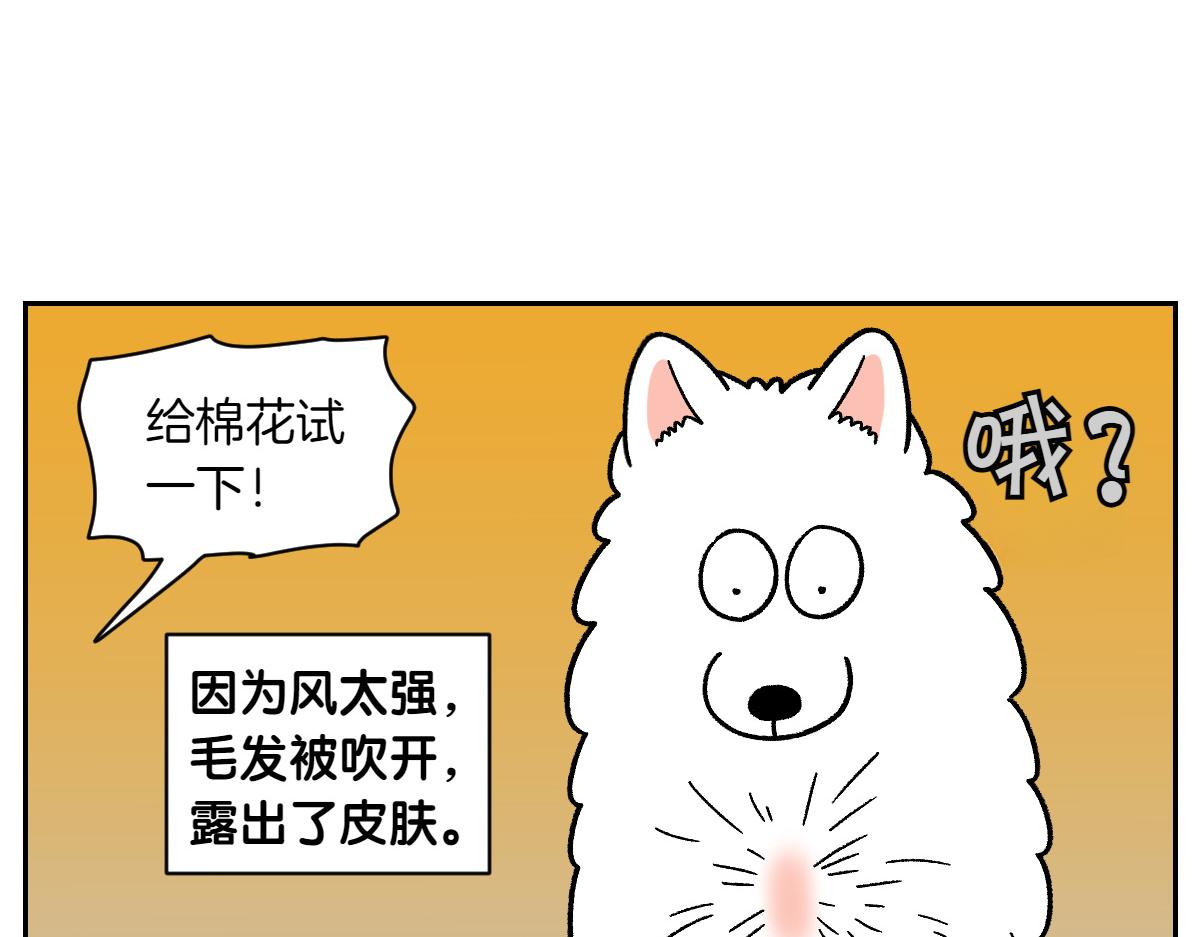 第50话 超强风吹干-第118话