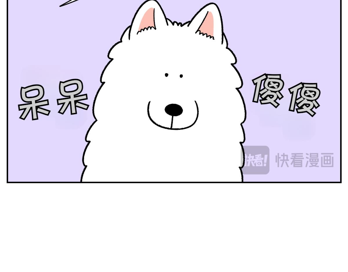 第52话 被传染猫癣-第120话
