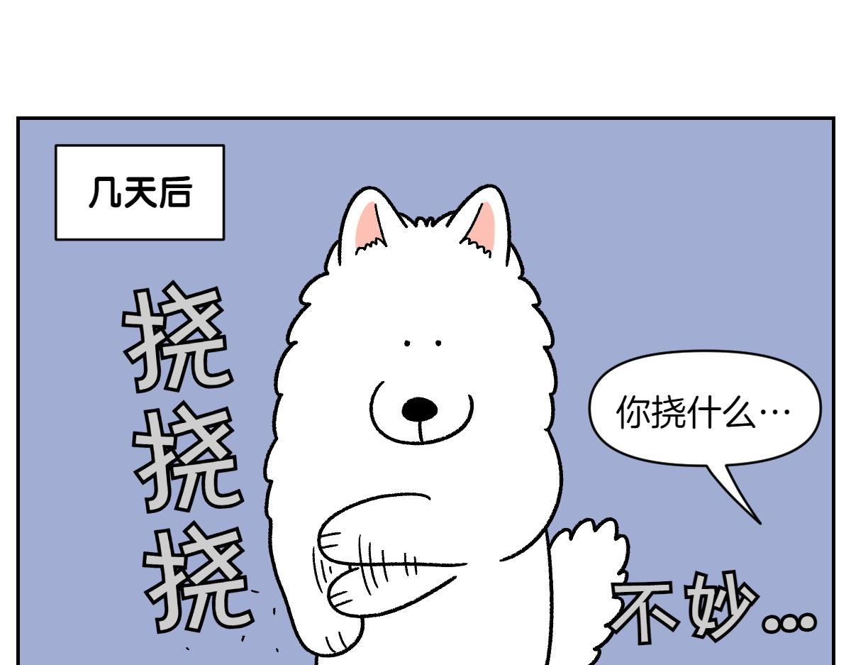 第52话 被传染猫癣-第120话