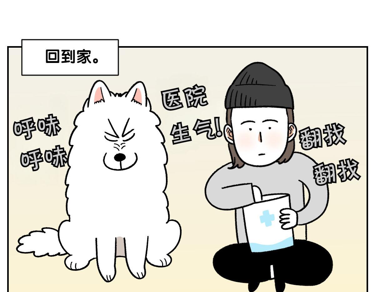 第52话 被传染猫癣-第120话