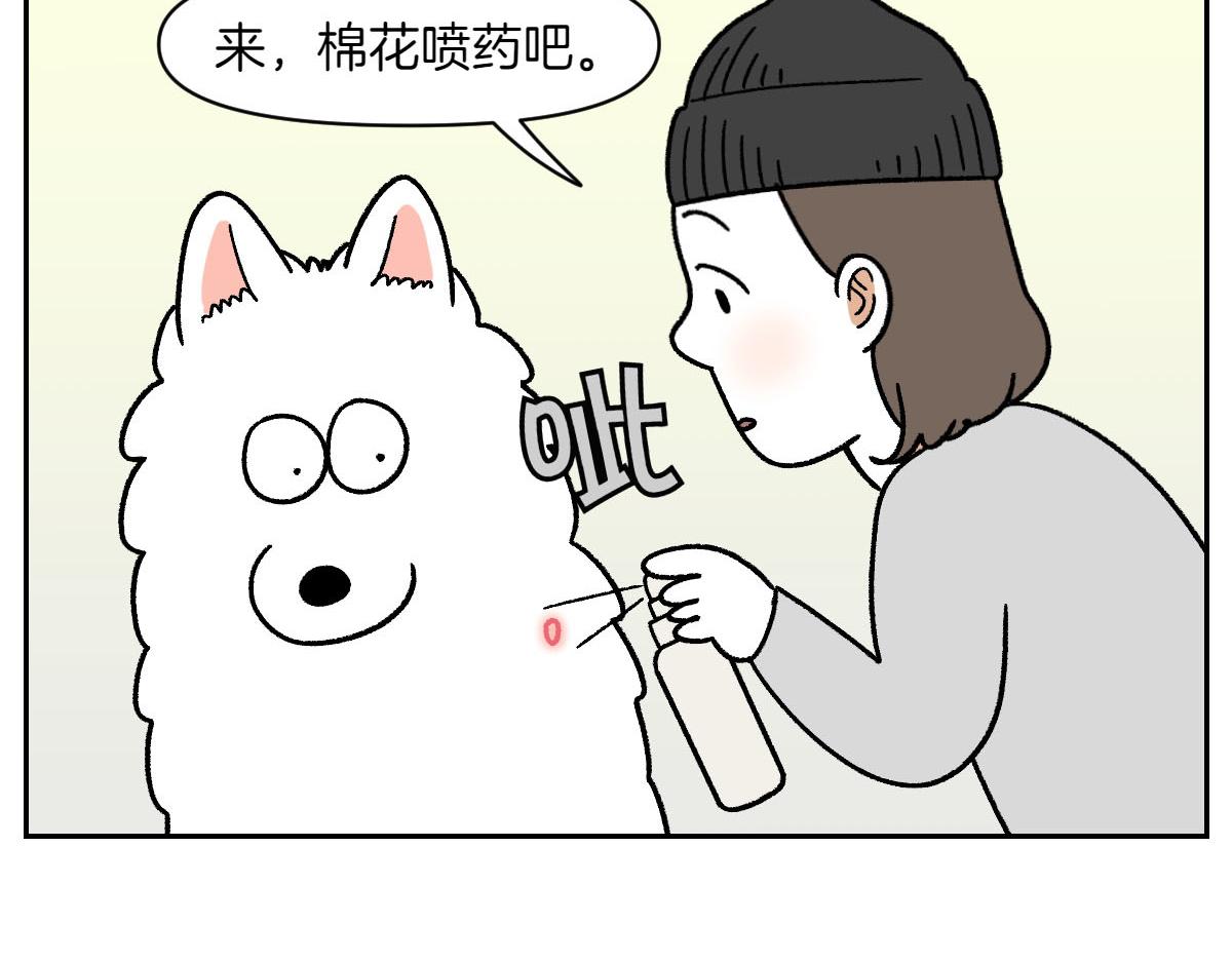 第52话 被传染猫癣-第120话