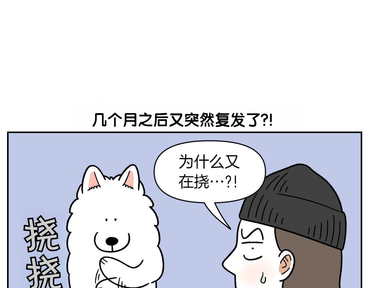 第52话 被传染猫癣-第120话