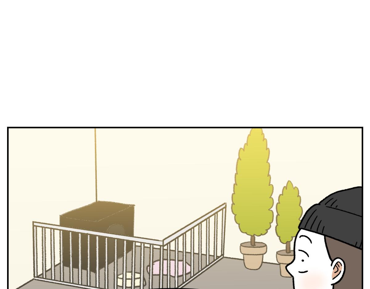 第52话 被传染猫癣-第120话