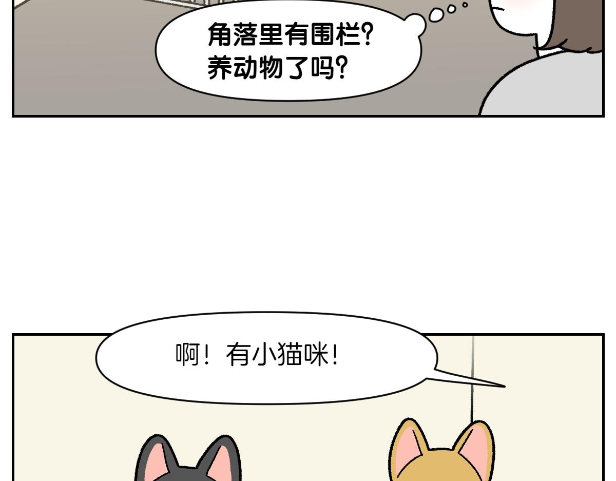 第52话 被传染猫癣-第120话