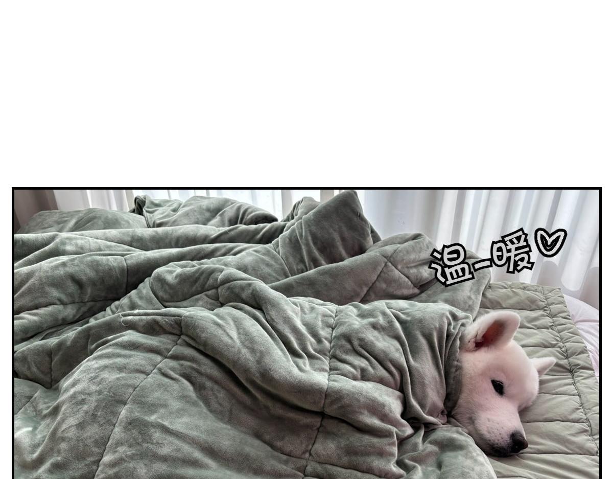 第54话 一起在床上睡吧(1/2)-第122话