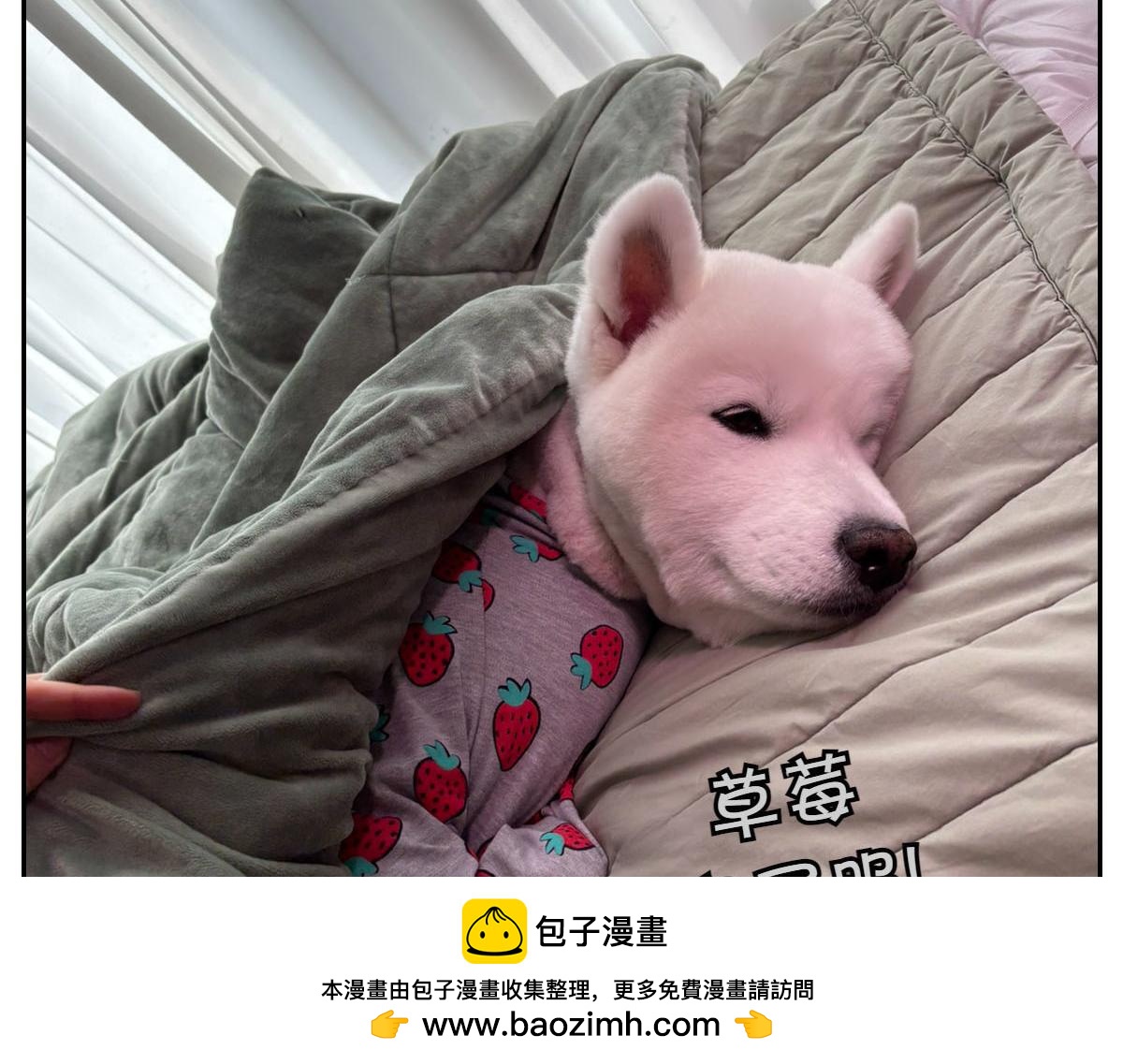 第54话 一起在床上睡吧(1/2)-第122话