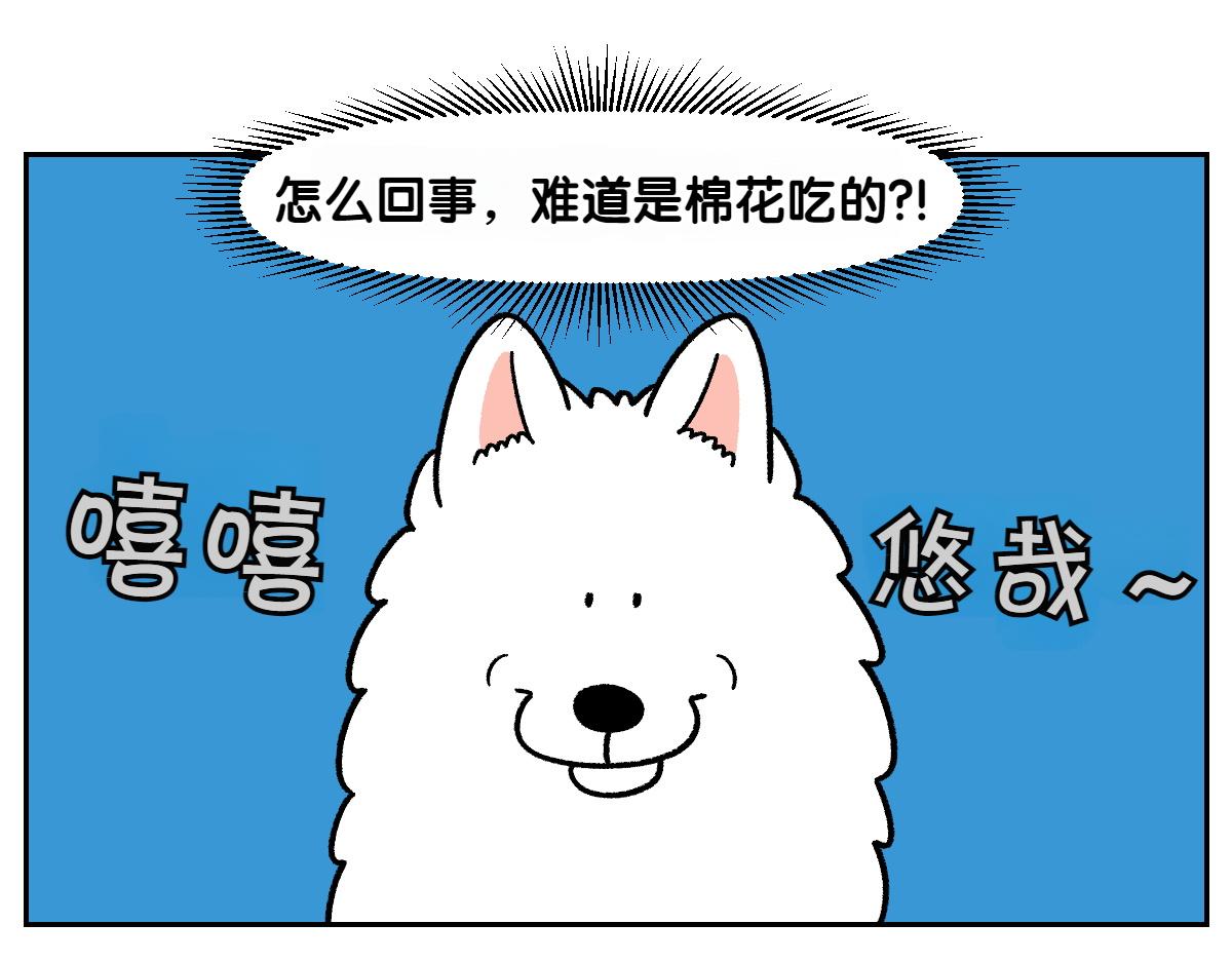 第56话 食用木糖醇口香糖事件(1/2)-第124话