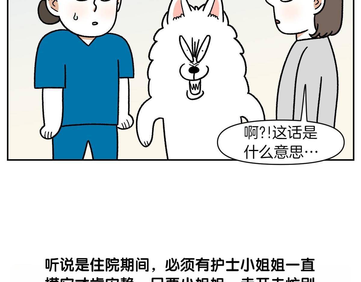 第56话 食用木糖醇口香糖事件(1/2)-第124话