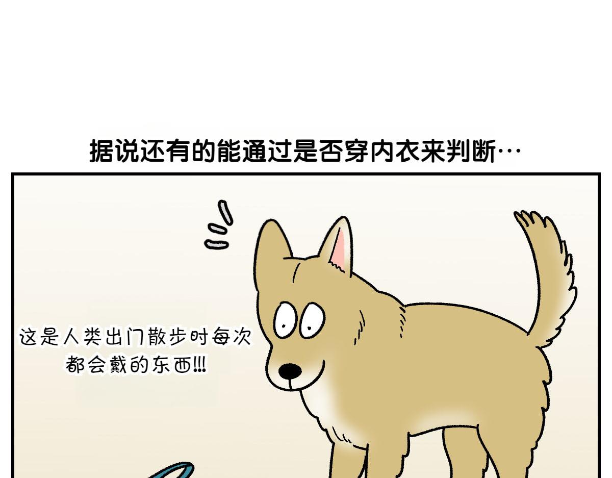 第60话 禁止单词-散步-第128话