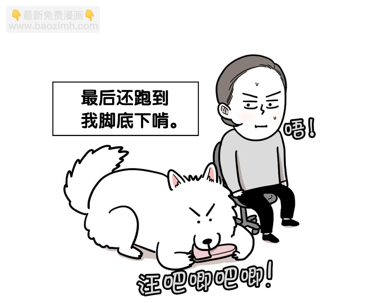 第13话 拆家大王(1/2)-第14话