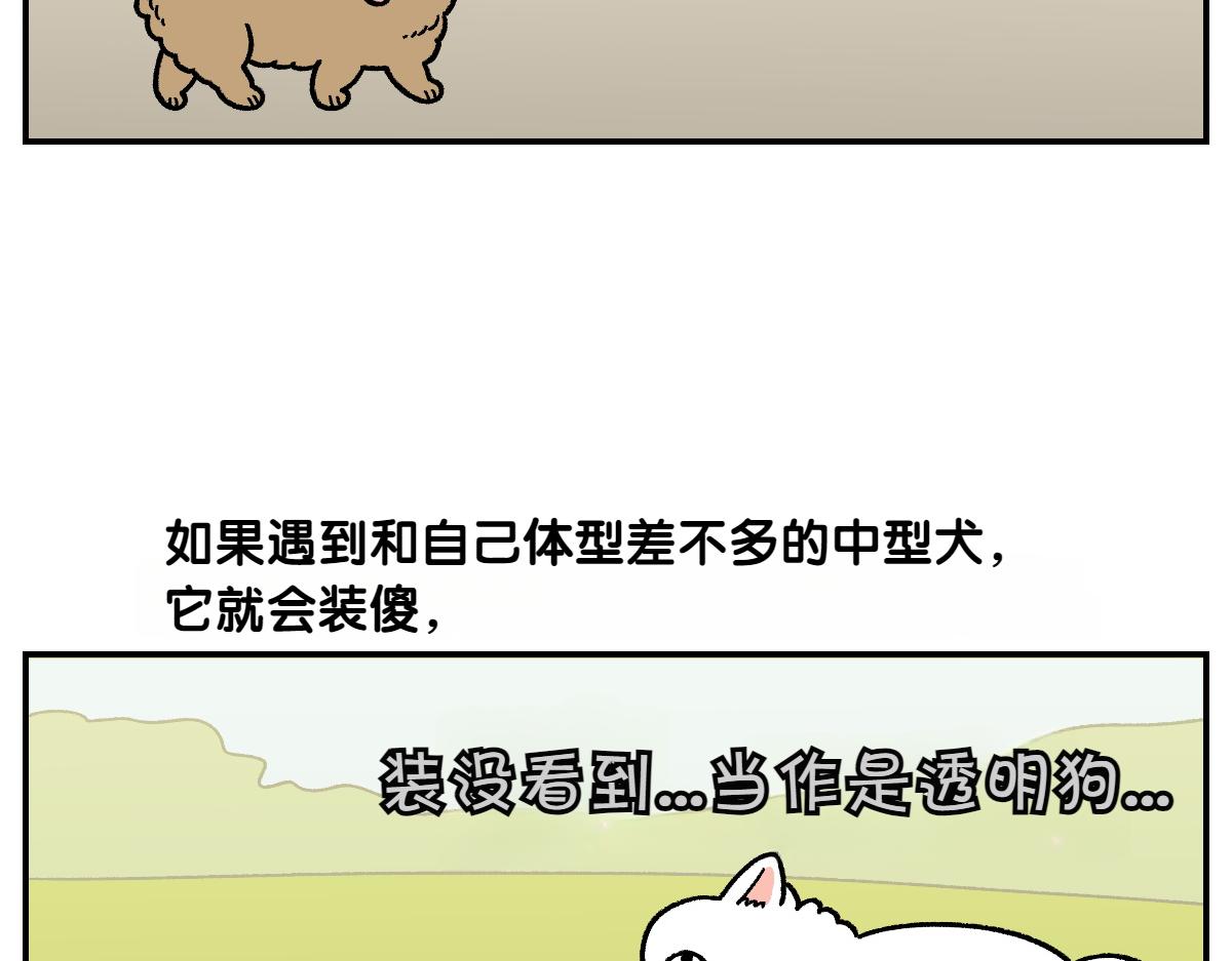 第64话 和狗狗朋友问好(1/2)-第132话