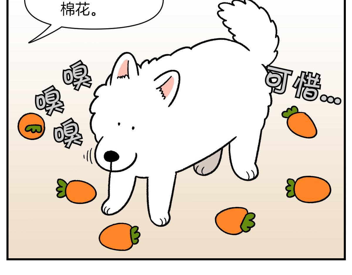 第76话 胡萝卜玩偶(1/2)-第144话