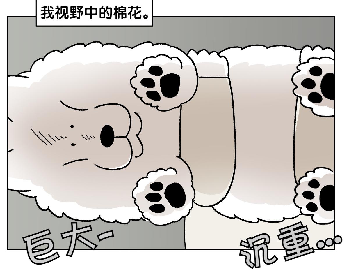 第79话 抱着棉花出去(1/2)-第148话