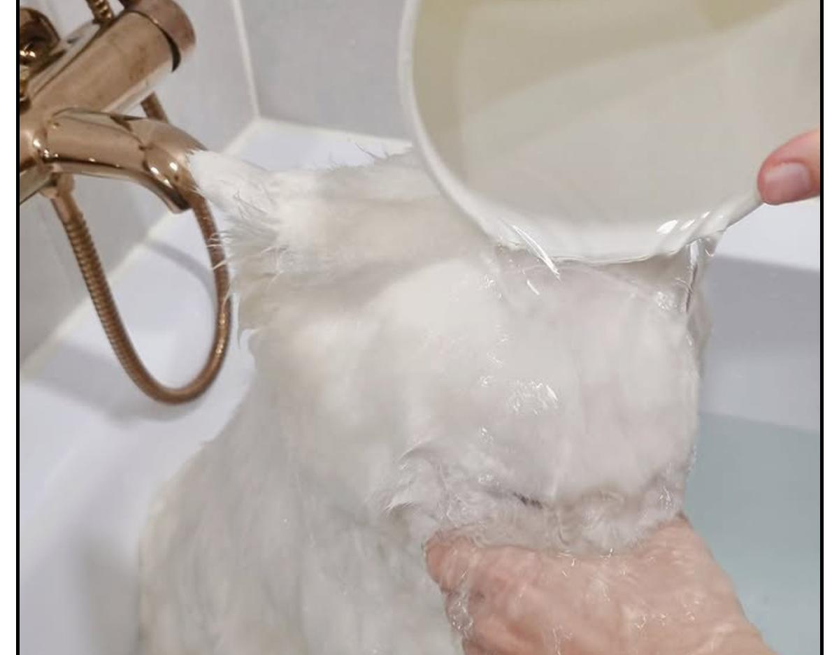 第85话 泡澡-第154话