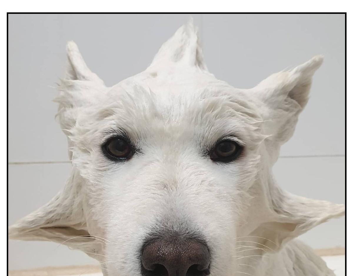 第85话 泡澡-第154话