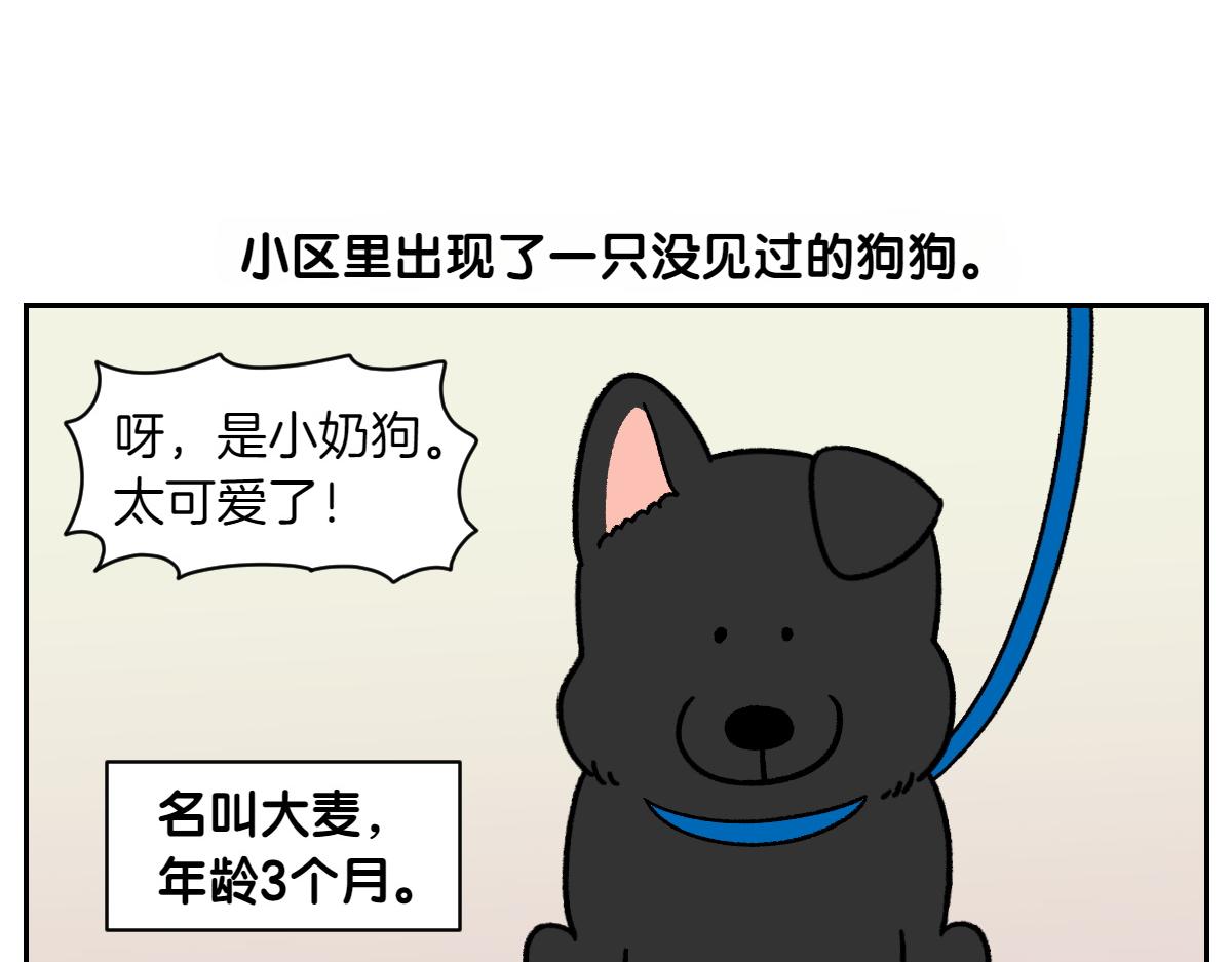 第87话 狗的嫉妒(1/2)-第156话