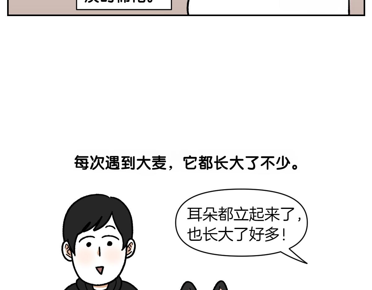 第87话 狗的嫉妒(1/2)-第156话