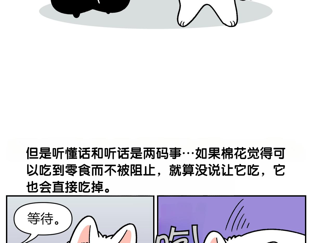 第89话 棉花的个人技(1/2)-第158话