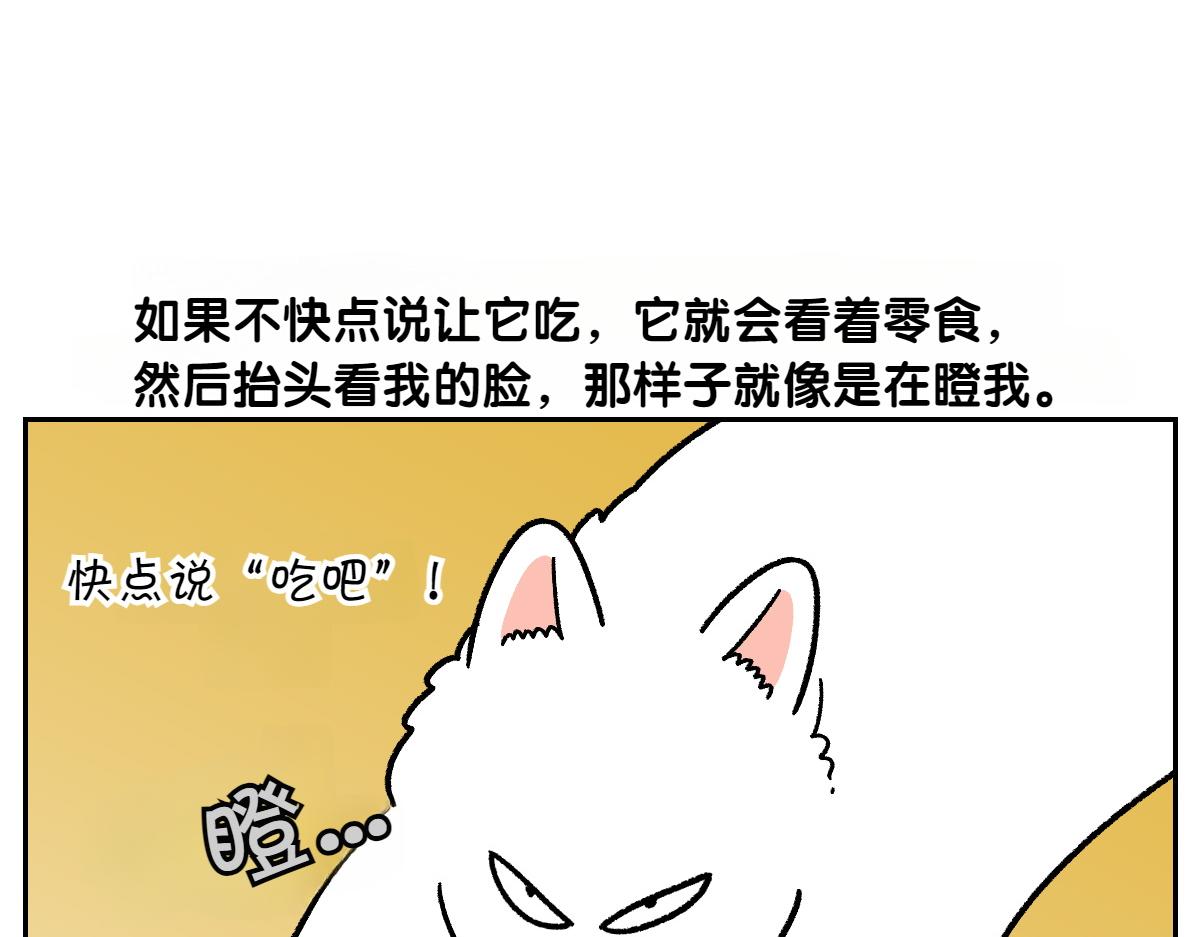 第89话 棉花的个人技(1/2)-第158话