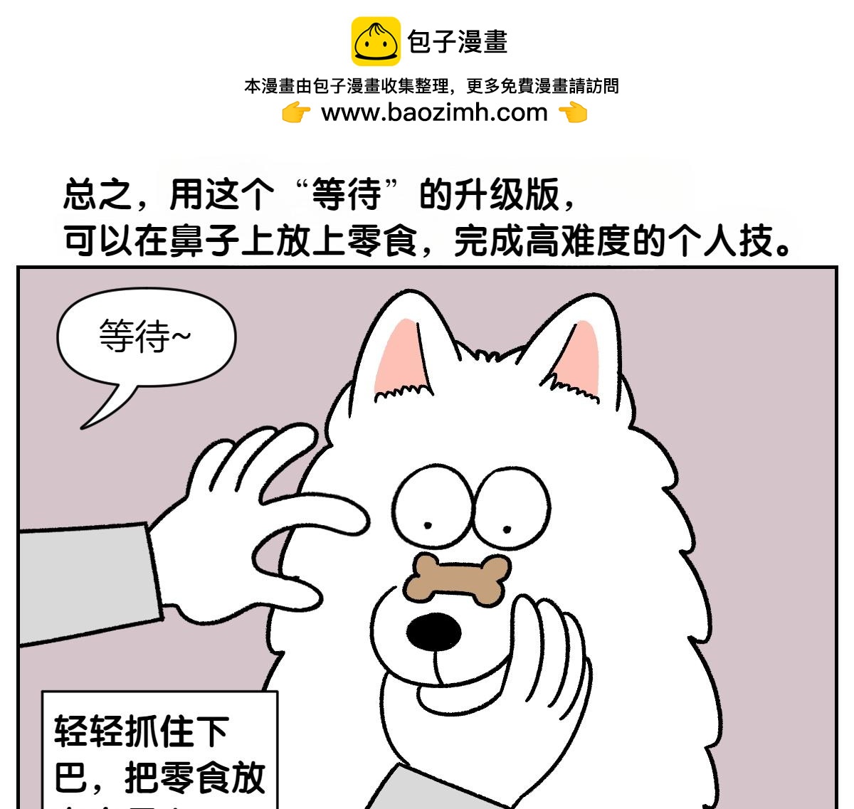 第89话 棉花的个人技(1/2)-第158话