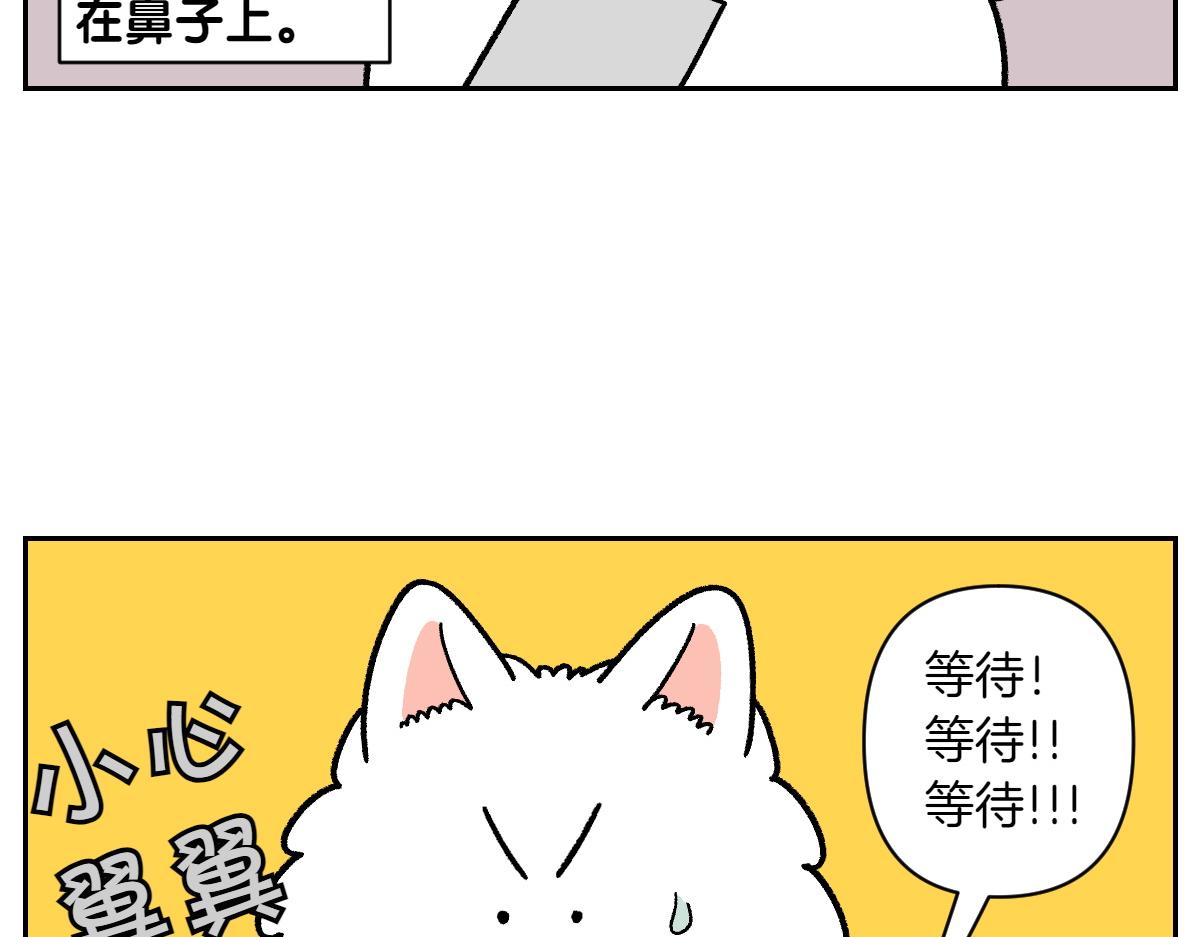 第89话 棉花的个人技(1/2)-第158话