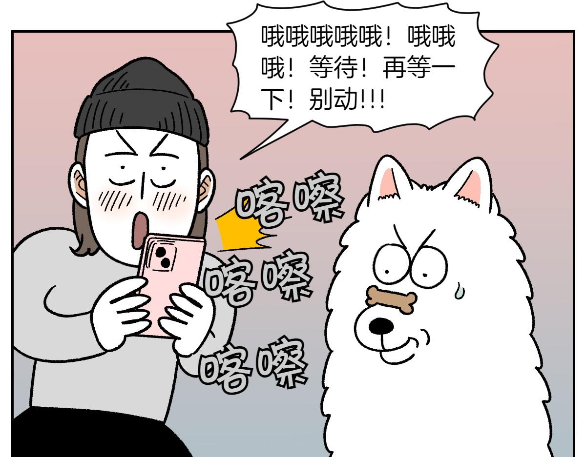 第89话 棉花的个人技(1/2)-第158话