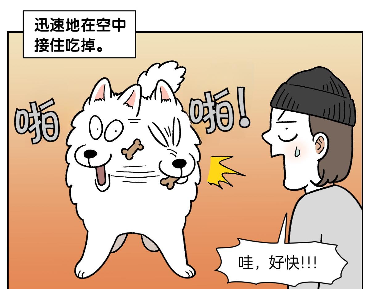 第89话 棉花的个人技(1/2)-第158话