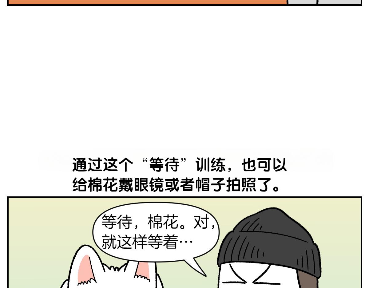 第89话 棉花的个人技(1/2)-第158话