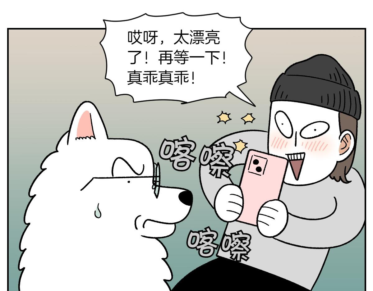 第89话 棉花的个人技(1/2)-第158话