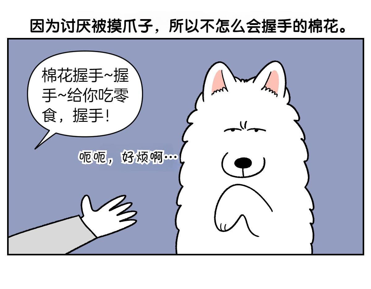 第89话 棉花的个人技(1/2)-第158话