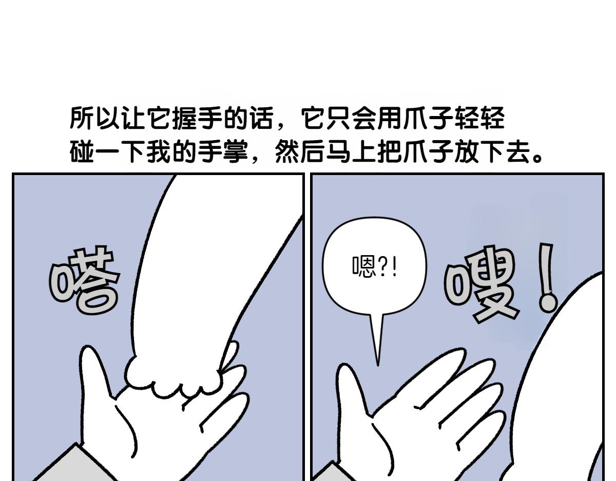 第89话 棉花的个人技(1/2)-第158话