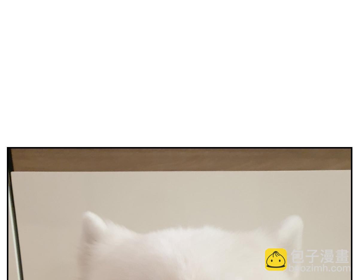 第89话 棉花的个人技(1/2)-第158话