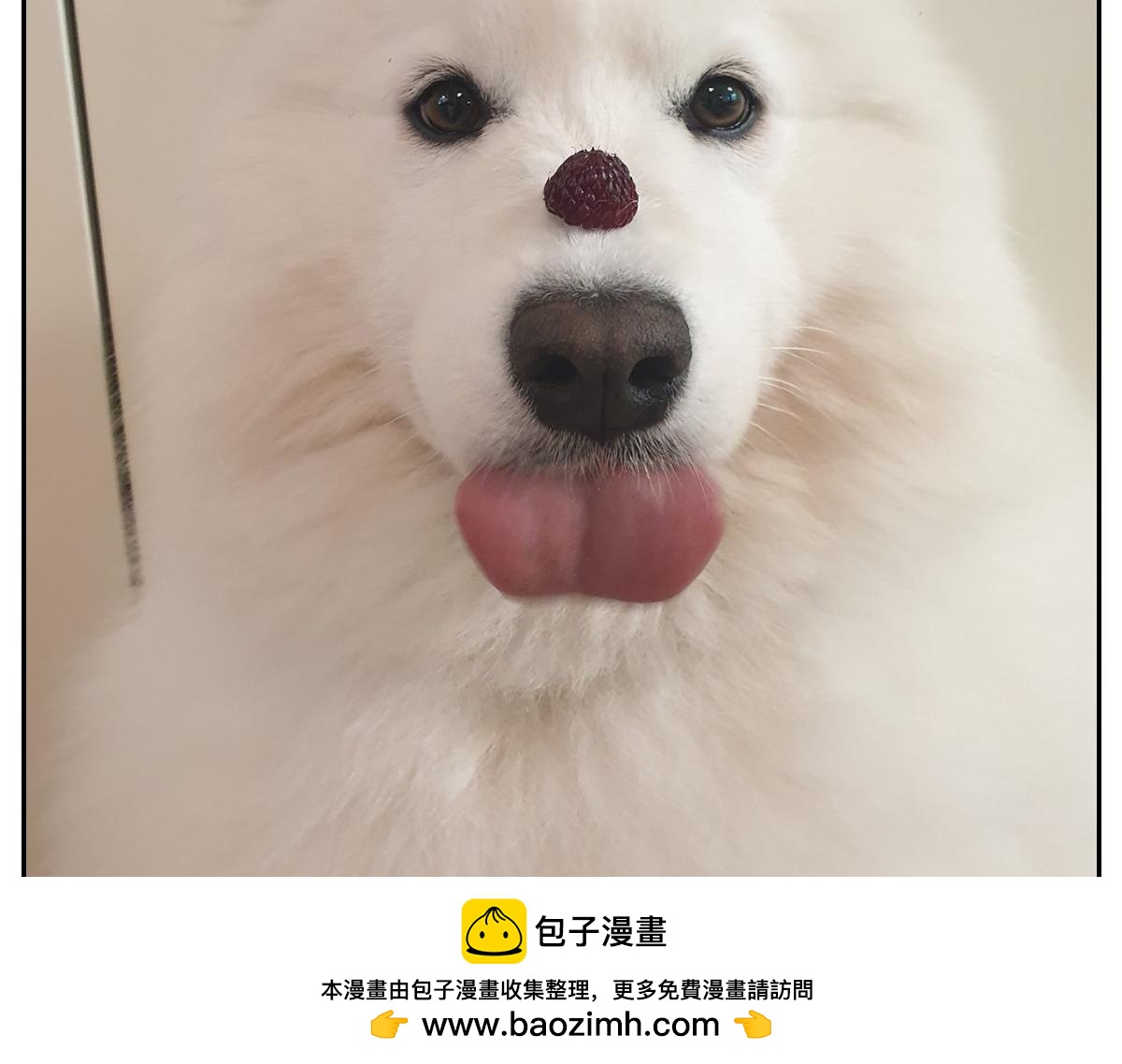 第89话 棉花的个人技(1/2)-第158话