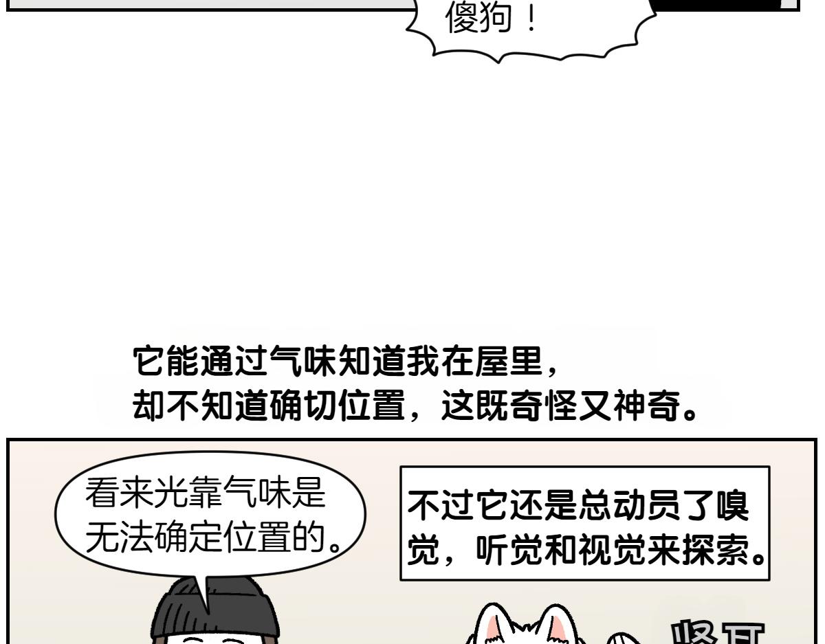 第91话 阳台与狗(1/2)-第160话