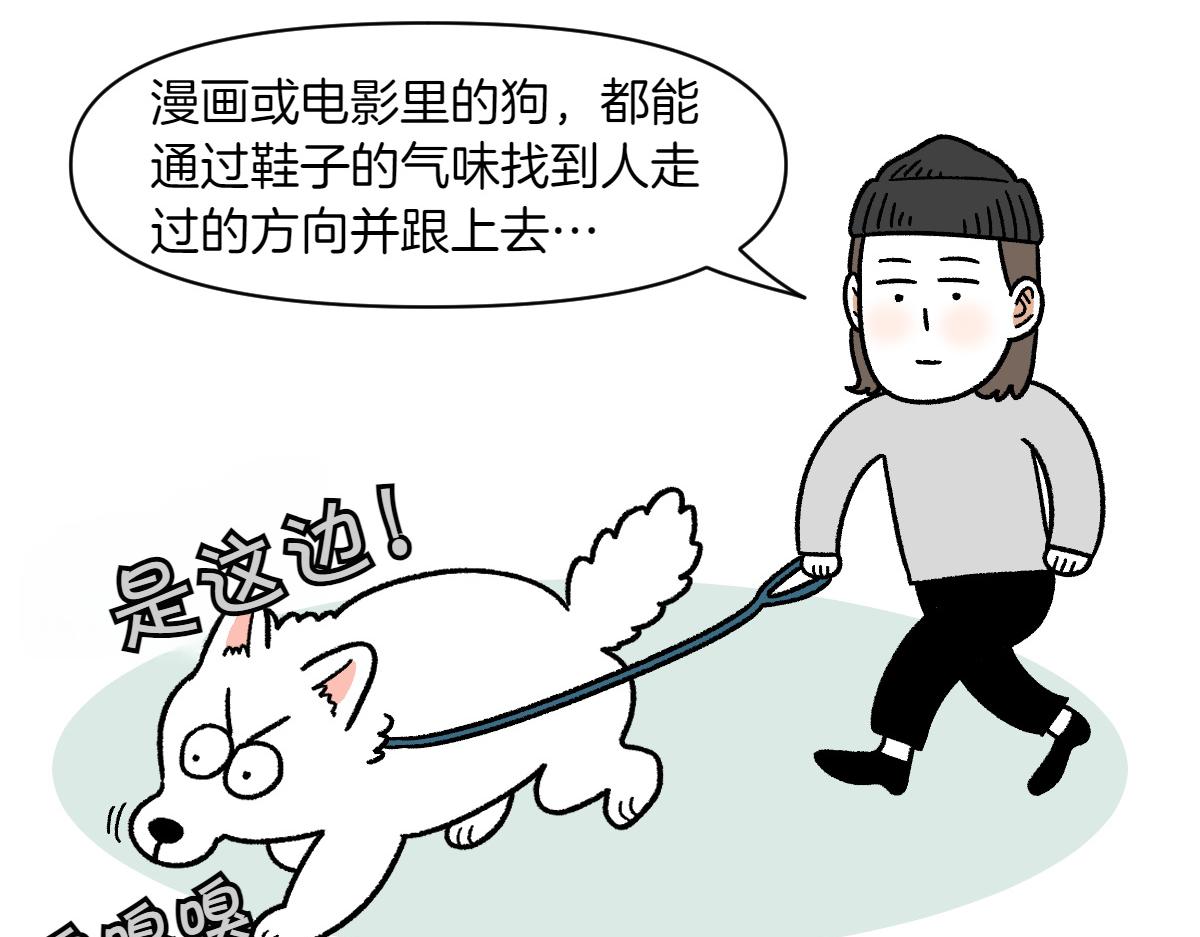 第91话 阳台与狗(1/2)-第160话