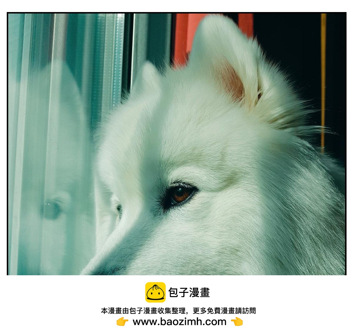 第93话 小朋友邻居们(1/2)-第162话