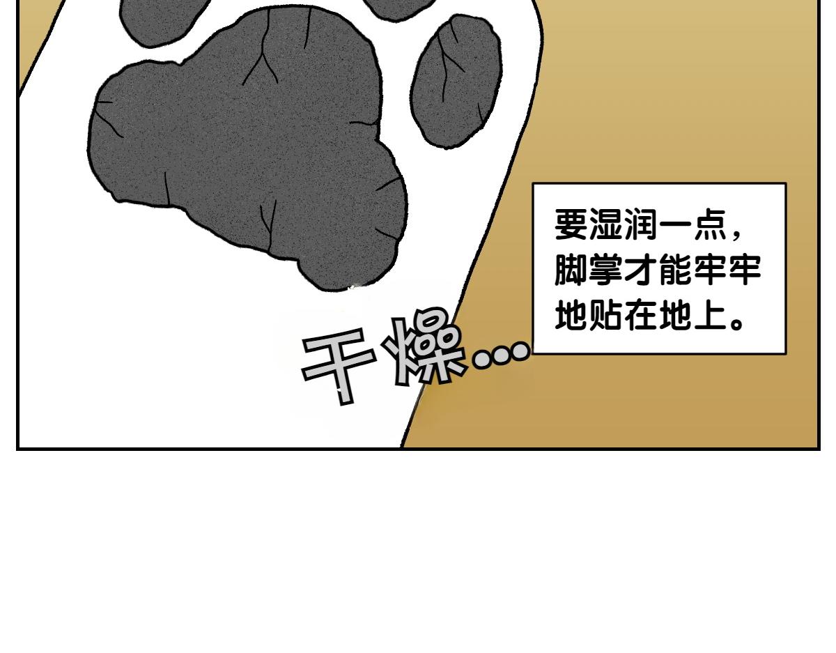 第97话 脚底保湿护理(1/2)-第166话